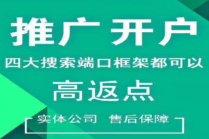 成功案例分享：Sem优化公司助力品牌增长